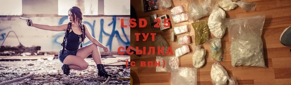 apvp Пестово