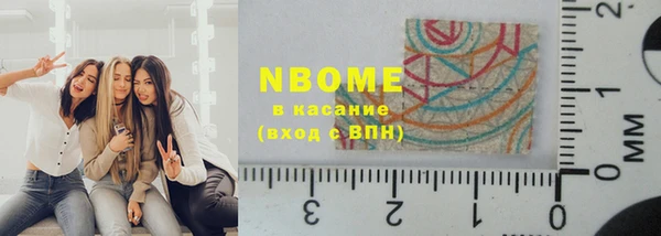 тгк Пересвет