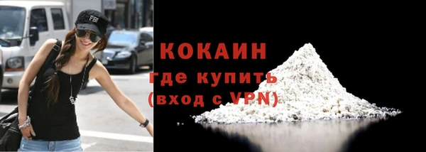 тгк Пересвет
