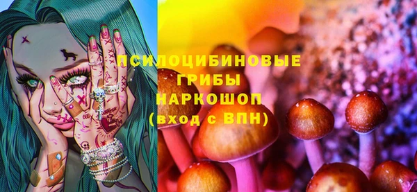 apvp Пестово