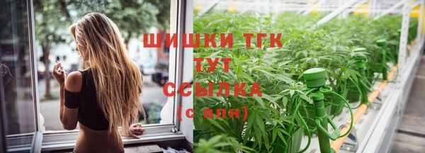 apvp Пестово