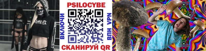 Псилоцибиновые грибы прущие грибы Заволжье