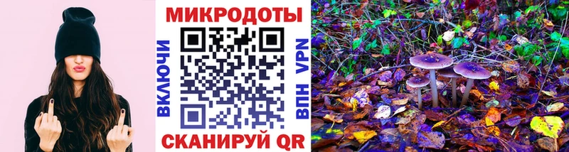 Галлюциногенные грибы прущие грибы Заволжье